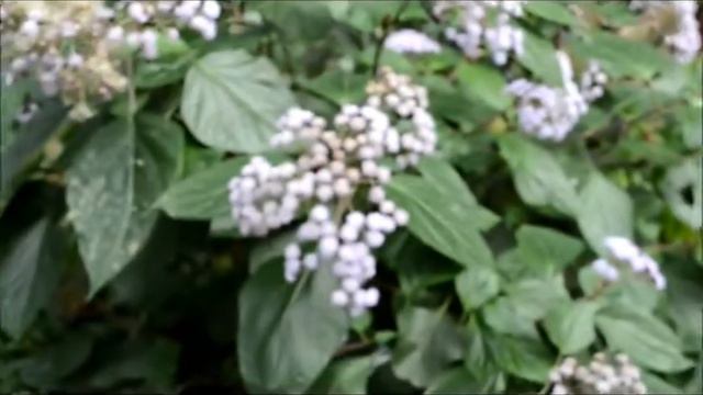 Женщина -Королева, Женщина- Творец. Выставка 8е марта смотреть онлайн