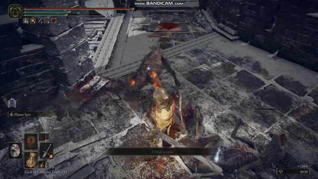 Elden Ring - Shield Cannon Build смотреть онлайн