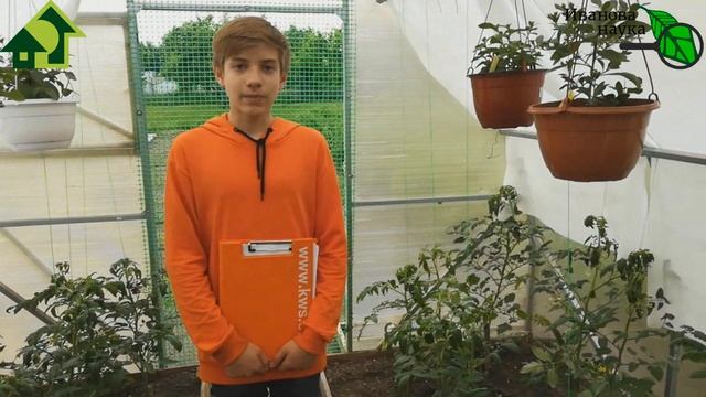 ДОСТУПНО ДЛЯ ВСЕХ! СОЗДАЕМ СВОИ СОРТА ТОМАТОВ! Захар Фёдоров - о селекции томата. смотреть онлайн