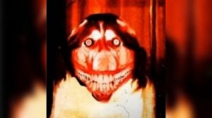 Оригинал фото Смайл дога