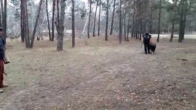 Вырабатываем выдержку и спокойствие. смотреть онлайн