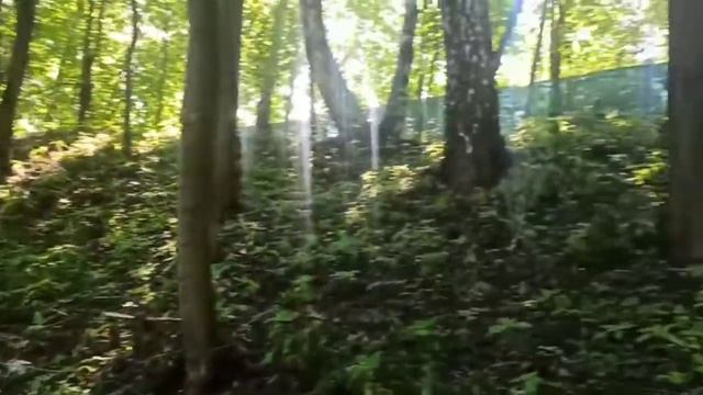 Рельефный участок 18 соток под аккомпанемент соловьев в дер. Клоково, Новая Москва смотреть онлайн