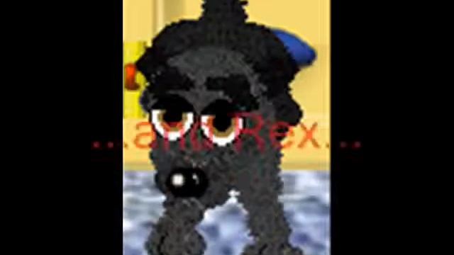 My Dogz 5 Border collie Sam смотреть онлайн
