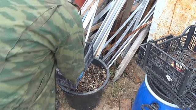 ?104 ? ВЫБИРАЮ МАЛИНУ ИЗ СЕННОЙ ПАЛОЧКИ И НА ПРОСУШКУ смотреть онлайн