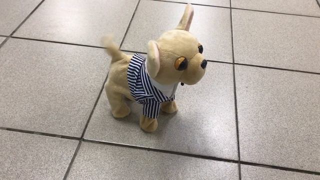 собачка чичилав Elefant поющий дружок верный дружок смотреть онлайн