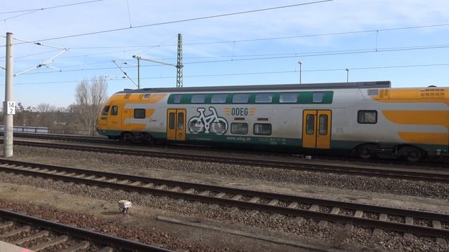 2021 Teltow смотреть онлайн