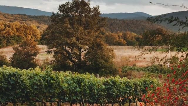 Very Romantic Wedding In Tuscany