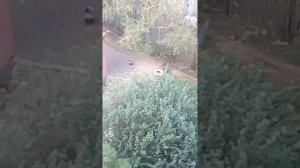 Ребенок какает рядом с подьездом. Какой моледец!