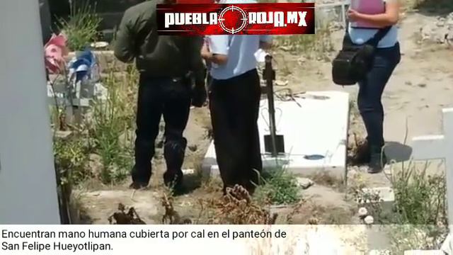 Encuentran mano humana en panteón de San Felipe Hueyotlipan смотреть онлайн