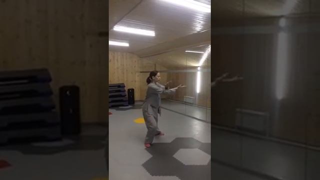 48 form Tai chi part 1. Тай Чи 48 форма часть 1 смотреть онлайн