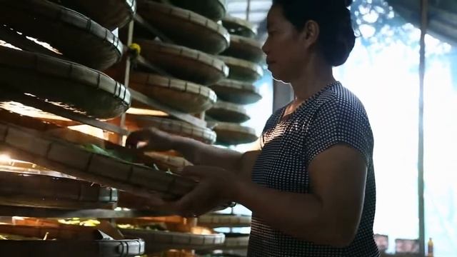 Традиционное производство натурального шелка. смотреть онлайн