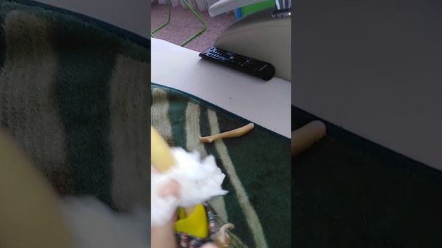 Минивэн: уютная поездка для всей семьи