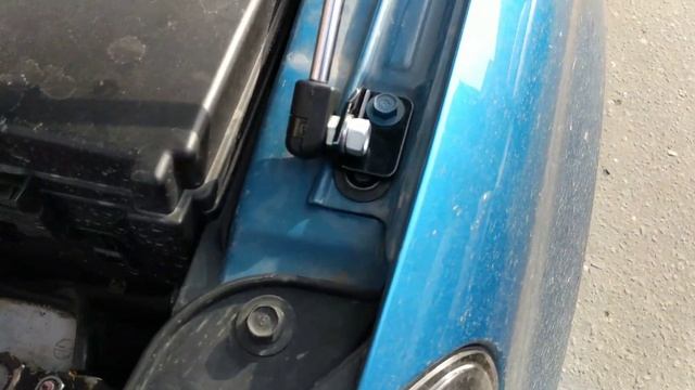 Газовые упоры капота