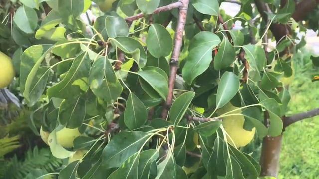 Секреты Макияжа