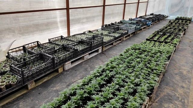 Рабочие процессы... смотреть онлайн