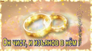 26 Лет Свадьбы! Поздравление с Нефритовой Свадьбой с Годовщиной!