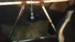 Водоснабжения для крс легко и очень, ну очень просто??