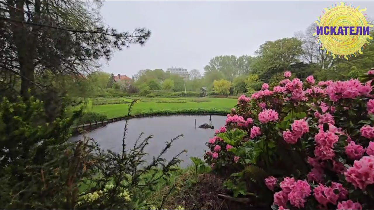 "БОЛЕЗНЬЮ СЕЙЧАС ТЕБЯ БУДЯТ" - Мила Кленова