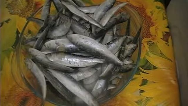 КИЛЬКА ДОМАШНЕГО ПРЯНОГО ПОСОЛА. Всегда вкусная килька слабосолёная. смотреть онлайн