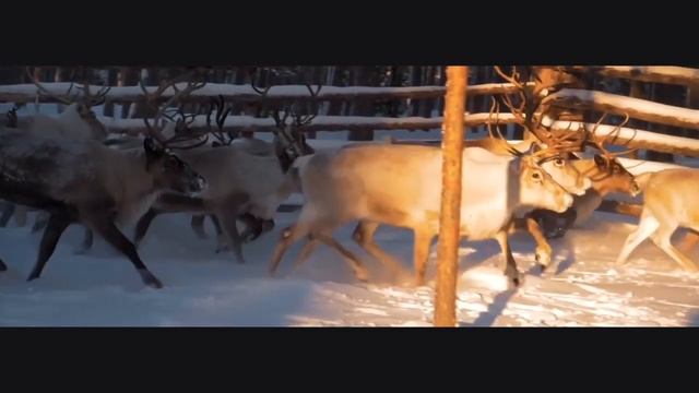 Russia 85 Adventures Trailer смотреть онлайн