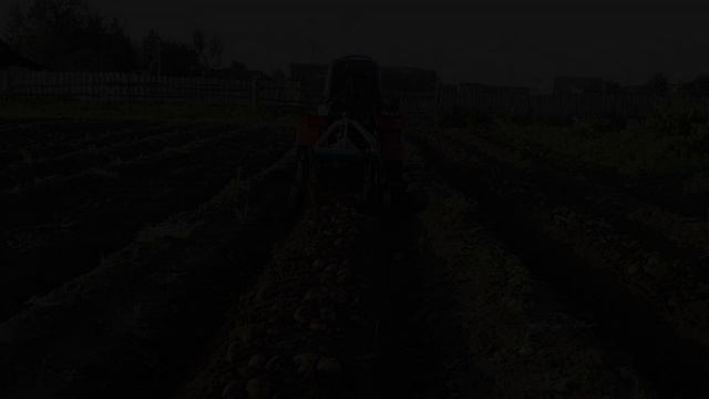 Уборка картофеля на двух участках смотреть онлайн
