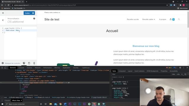 Comment modifier le CSS sur WordPress ? +3 astuces смотреть онлайн