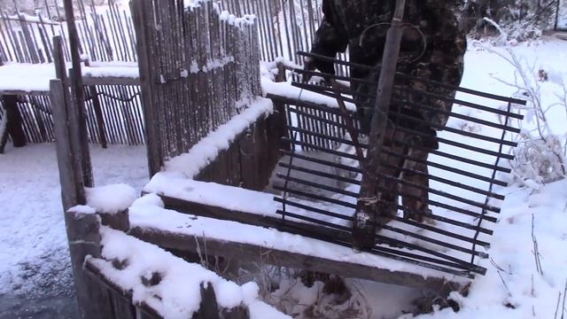 РЫБАЛКА НА МОРДУШКУ В ПЕРВЫЕ МОРОЗЫ..!!! смотреть онлайн
