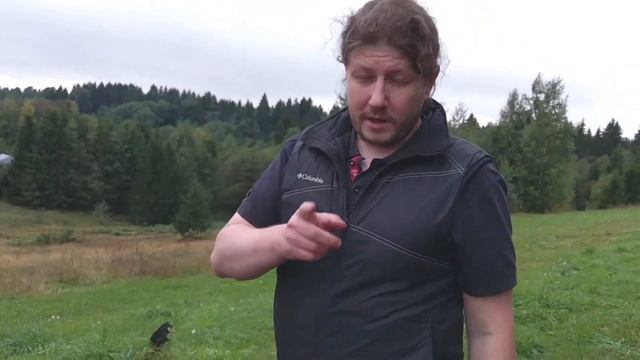 Щетка для угольного гриля (важный совет!) смотреть онлайн