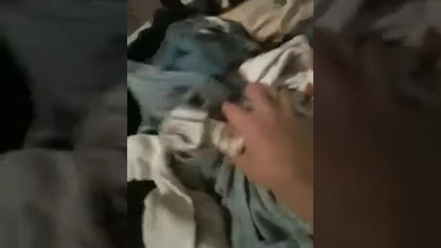 Zombie adventures! episode 10:i miss tom смотреть онлайн