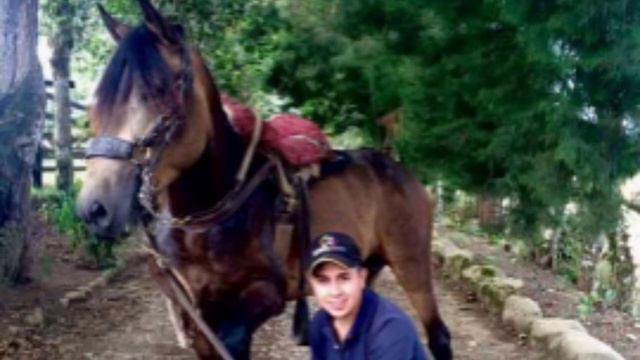 Solo Caballos Colombia