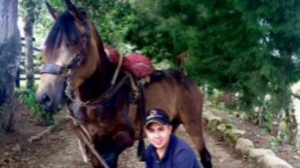 Solo caballos colombia