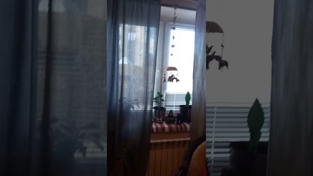 Салон Тара , салон красоты, массаж, Индийский Центр Аюрведа и Spa,Tara,Тула, ул. Белкина, музыка