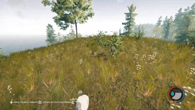 Играем в the forest ➤ Начало нового летсплея вместе с Пашей и Валерчиком ◉ Часть #1 смотреть онлайн