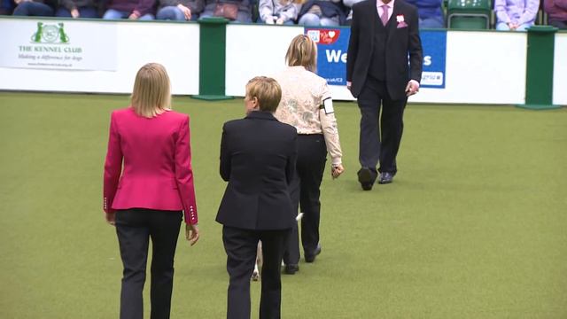 Obedience - Bitch Championship - Part 4 | Crufts 2018