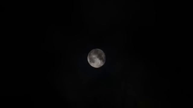 Must-See Trail Cam Evidence That Will Give You Chills смотреть онлайн