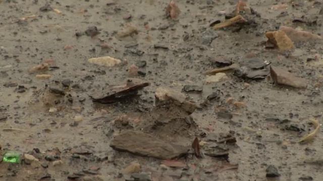 Дежурный по городу смотреть онлайн