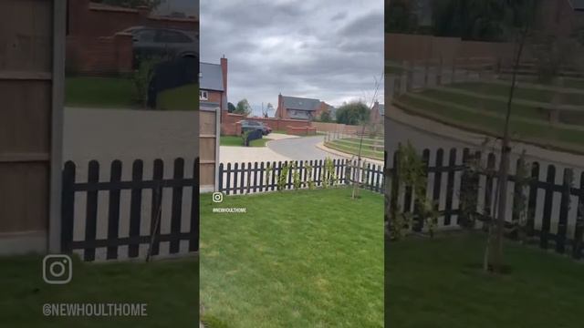 Happy dogs смотреть онлайн