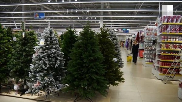 Как выбрать искусственную ёлку: советы управляющего магазином RichFamily | NGS.RU