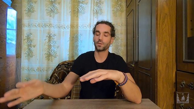 Берём каракурта на руки. Симптомы и первая помощь при укусе чёрной вдовы смотреть онлайн