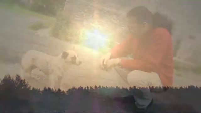 В русском сердце живет Россия(И.Наджиев) смотреть онлайн