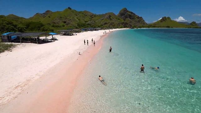 Pantai Merah or Pink Beach Komodo, is one of eleven pink sand beaches across the world #bali2komodo смотреть онлайн