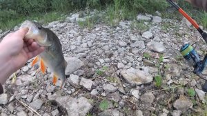 #Рыбалка и отдых с семьей на ОКЕ#Рыбалка на спининг#Отводной поводок на ОКЕ