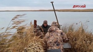 Охота по перу. Сезон 2. За уткой. Поздней осенью в Краснодарский край