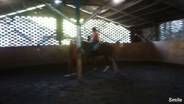 Переход, Шаг Галоп Рысь, Подъём в галоп с шага с правильной ноги, Конный спорт, Верховая езда, 717 смотреть онлайн