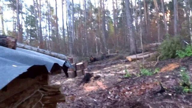 Вечером на новой избушке смотреть онлайн