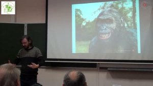 Станислав Дробышевский: "Антропогенез. Современные представления о происхождении человека"