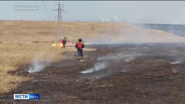 Ликвидирован ландшафтный пожар в районе поселка Кадала и читинского аэропорта смотреть онлайн