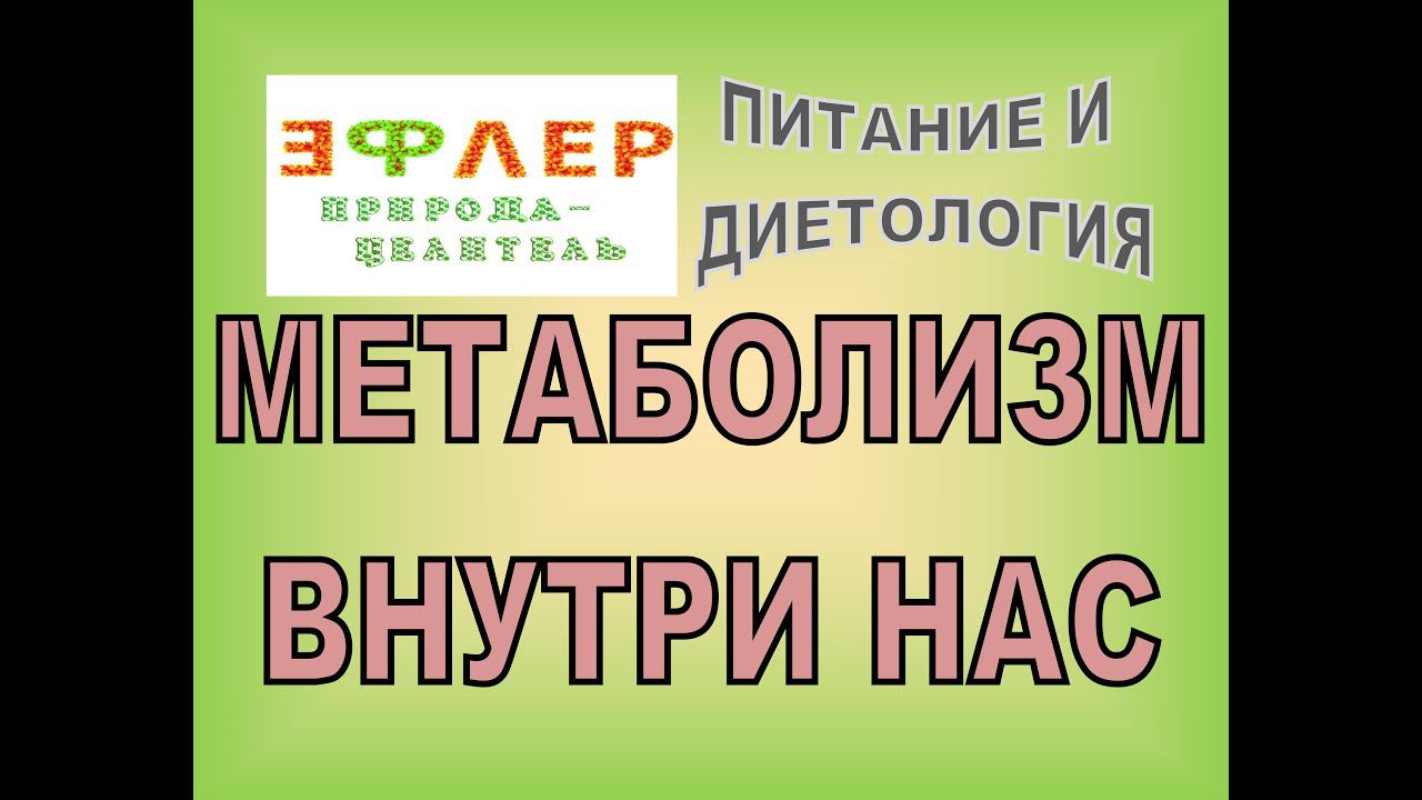 П41 - МЕТАБОЛИЗМ ВНУТРИ НАС смотреть онлайн