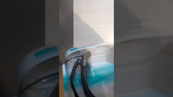 Наушники и мышка Logitech h 110 stereo Headset