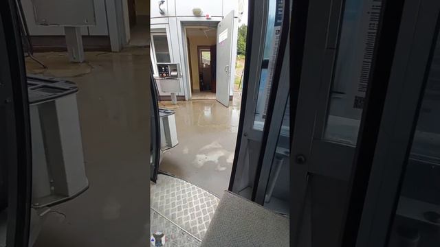Я на красной поляне✨ |Собака Вилка. смотреть онлайн